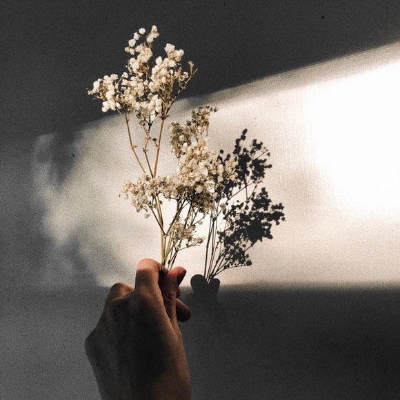 Meet your Posher, Erica - Picture 1 of 1